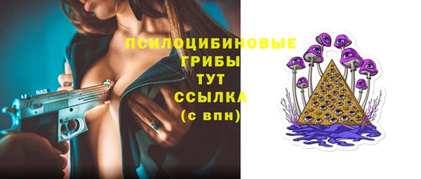 соль курить ск Ельня