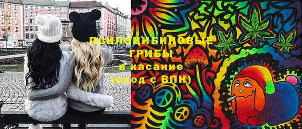 ГАЛЛЮЦИНОГЕННЫЕ ГРИБЫ Абдулино
