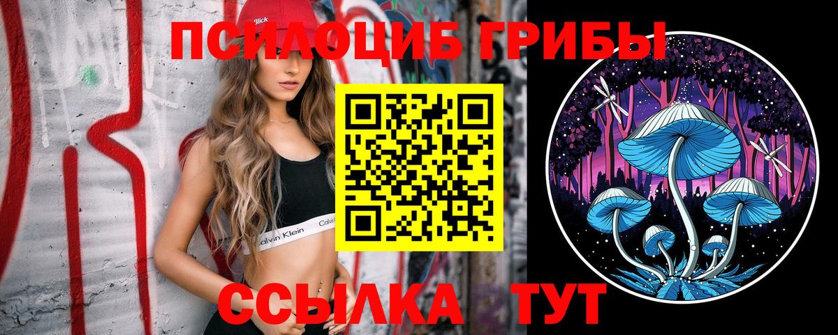 Галлюциногенные грибы GOLDEN TEACHER  Вход с VPN  Азнакаево 